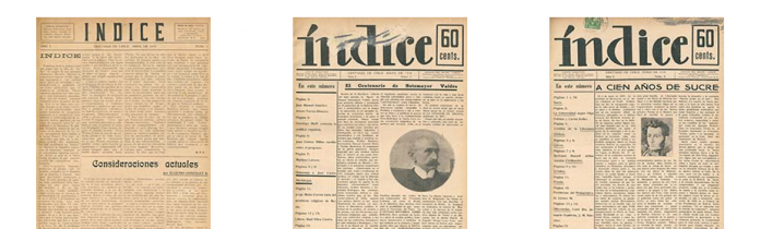 La revista chilena INDICE, disponible en AméricaLee